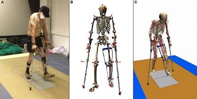 Energy Expenditure Estimation During Crutch-Orthosis-Assisted Gait of a Spinal-Cord-Injured Subject